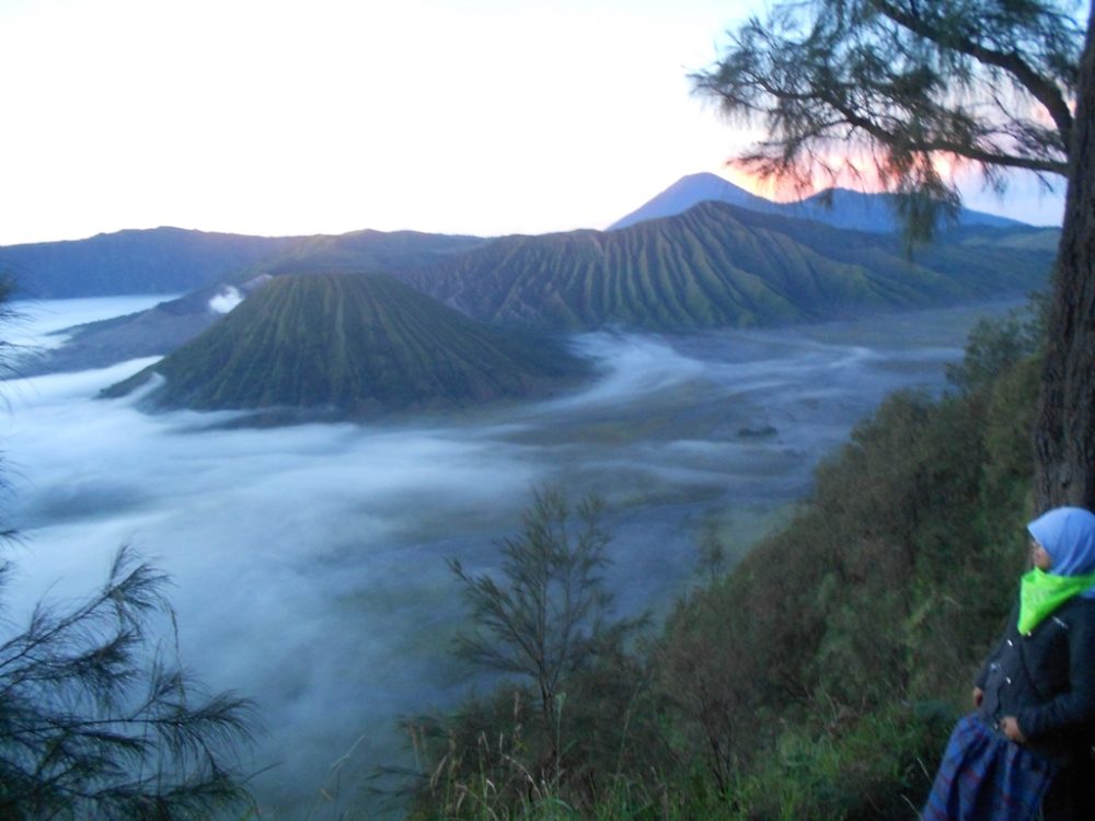 Wisata Bromo