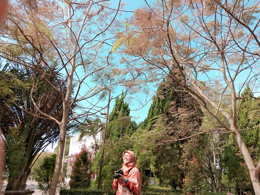 Lama Sakit Laryngopharyngeal Reflux Lpr Fauziah Rachmawati