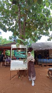 Melepas Penat di Gili Iyang: Pulau Oksigen dari Madura