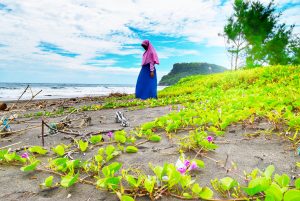 Pantai Pasur Blitar