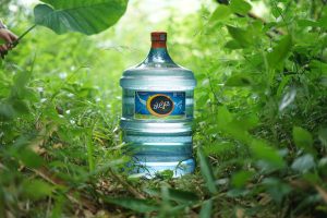 Alexa Water: Lebih dari Murni, Air Minum Sehat Sehari-hari