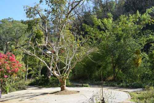 Desa Sanankerto: Desa Ekowisata Boon Pring dengan Penghargaan Indonesia Sustainable Tourism Awards (ISTA) 2019