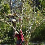 Desa Sanankerto: Desa Ekowisata Boon Pring dengan Penghargaan Indonesia Sustainable Tourism Awards (ISTA) 2019