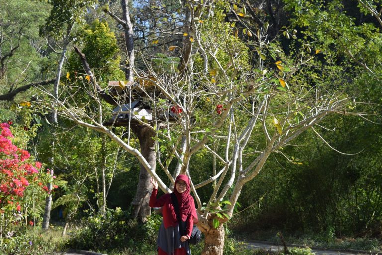 Desa Sanankerto: Desa Ekowisata Boon Pring dengan Penghargaan Indonesia Sustainable Tourism Awards (ISTA) 2019