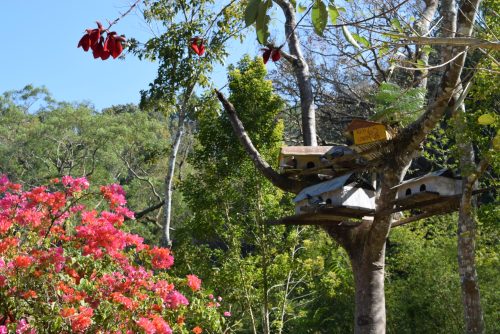 Desa Sanankerto: Desa Ekowisata Boon Pring dengan Penghargaan Indonesia Sustainable Tourism Awards (ISTA) 2019