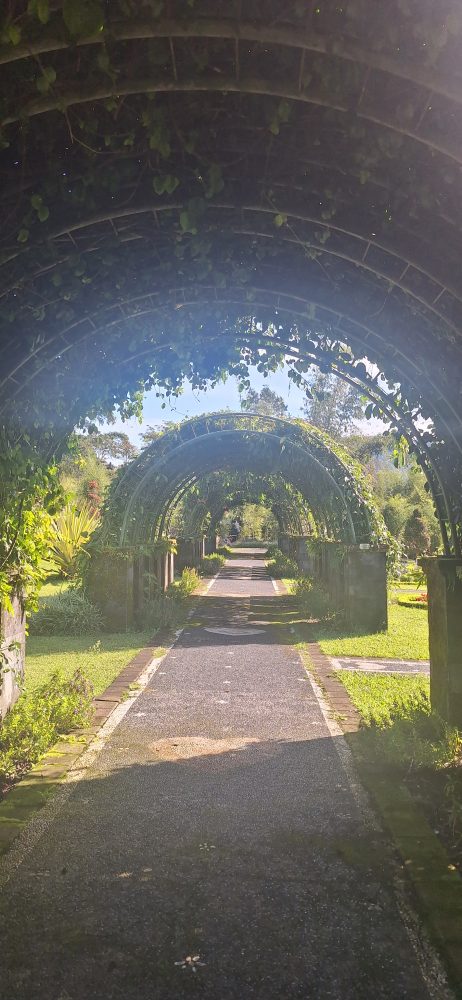 The Blooms Garden Bali 2026: Taman Bunga Viral di Bedugul yang Wajib Kamu Kunjungi