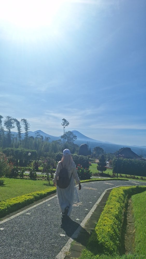 The Blooms Garden Bali 2026: Taman Bunga Viral di Bedugul yang Wajib Kamu Kunjungi