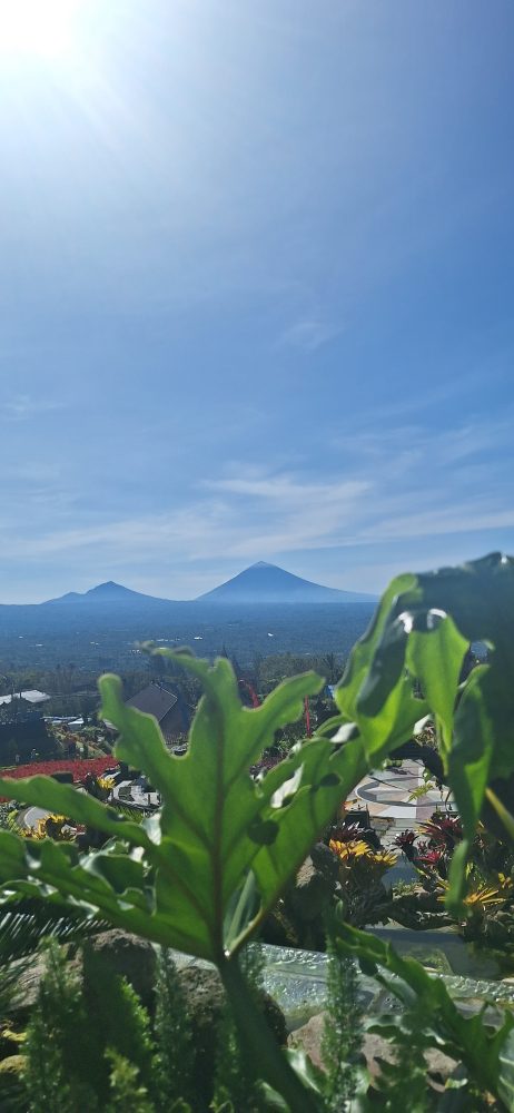 The Blooms Garden Bali 2026: Taman Bunga Viral di Bedugul yang Wajib Kamu Kunjungi