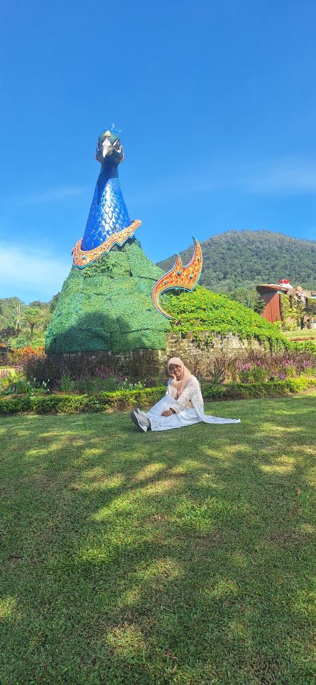 The Blooms Garden Bali 2026: Taman Bunga Viral di Bedugul yang Wajib Kamu Kunjungi