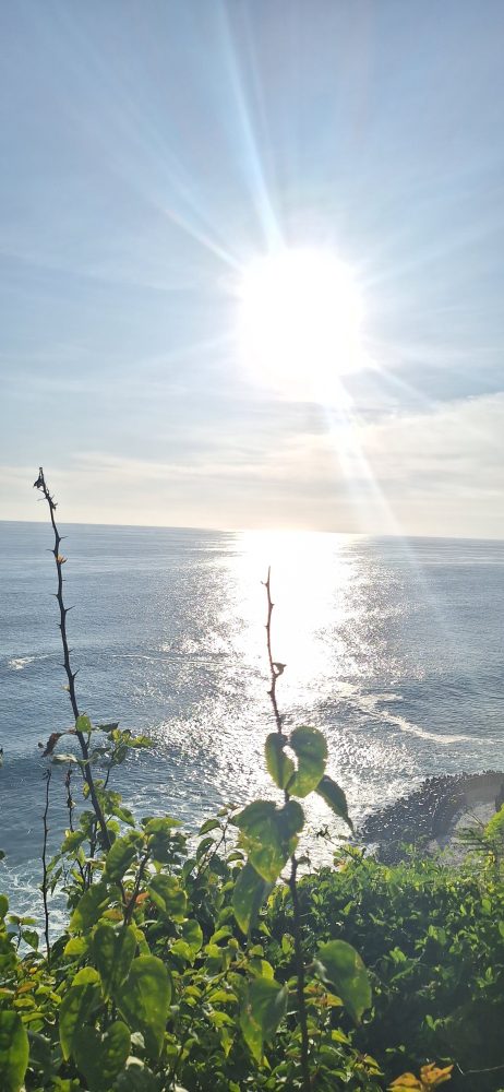 Tari Kecak Bali: Daya Tarik, Sejarah, Lokasi Terbaik, dan Harga Tiket Terbaru