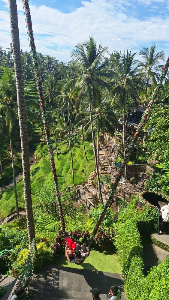 Alas Harum Bali: Harga Tiket, Spot Hits, dan Tips Liburan ke Surga Instagramable di Tegallalang