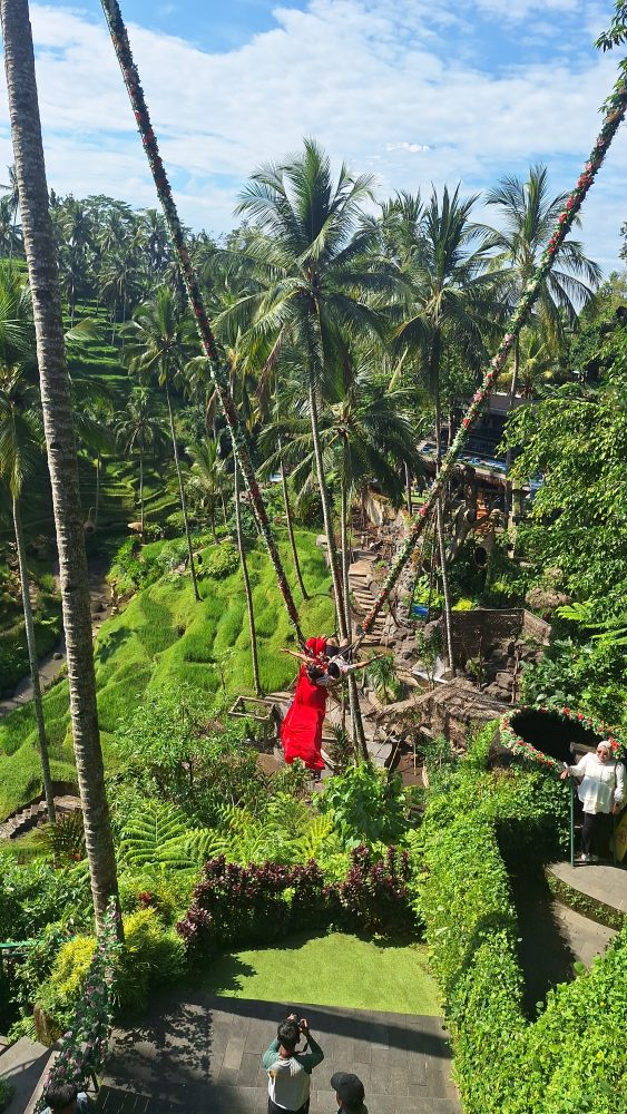 Alas Harum Bali: Harga Tiket, Spot Hits, dan Tips Liburan ke Surga Instagramable di Tegallalang