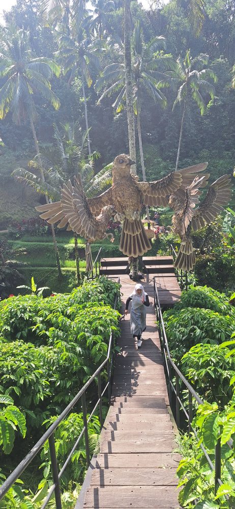 Pengalaman ke Alas Harum Bali: Wisata Hits di Ubud dengan View Sawah Terbaik