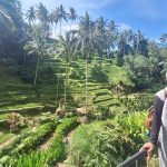 Pengalaman ke Alas Harum Bali: Wisata Hits di Ubud dengan View Sawah Terbaik