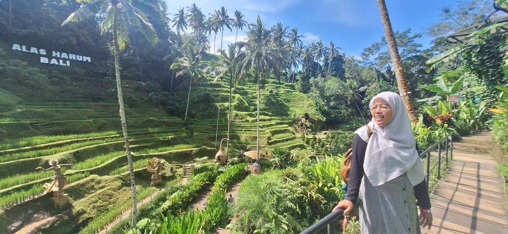 Pengalaman ke Alas Harum Bali: Wisata Hits di Ubud dengan View Sawah Terbaik