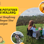 Tempat Nongkrong Viral dengan View Pegunungan