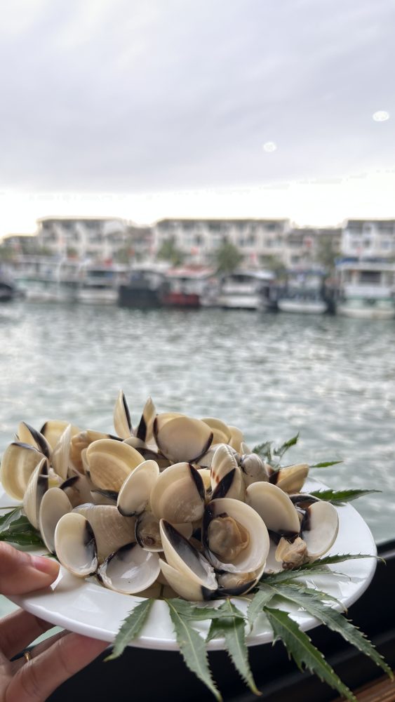 Menikmati Cruise di Ha Long Bay Vietnam: Pengalaman Menyusuri Keajaiban Alam Warisan Dunia