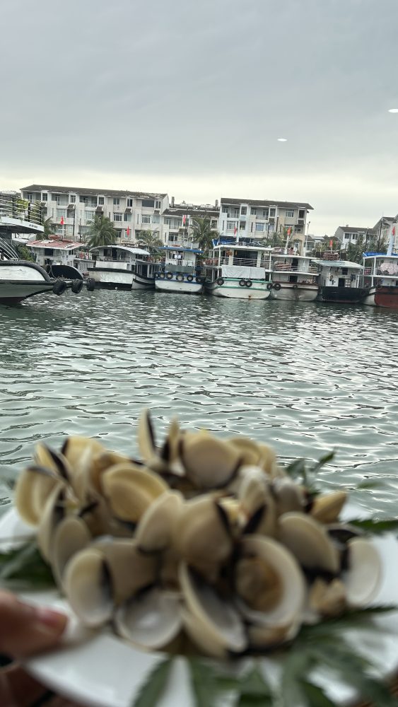 Menikmati Cruise di Ha Long Bay Vietnam: Pengalaman Menyusuri Keajaiban Alam Warisan Dunia