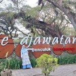 Hutan De Djawatan Banyuwangi: Menemukan Suasana Negeri Dongeng di Tengah Hutan Trembesi