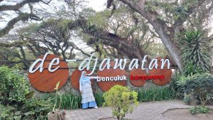 Hutan De Djawatan Banyuwangi: Menemukan Suasana Negeri Dongeng di Tengah Hutan Trembesi