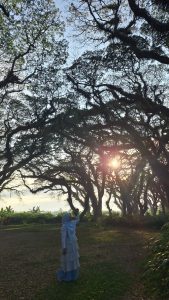 Hutan De Djawatan Banyuwangi: Menemukan Suasana Negeri Dongeng di Tengah Hutan Trembesi